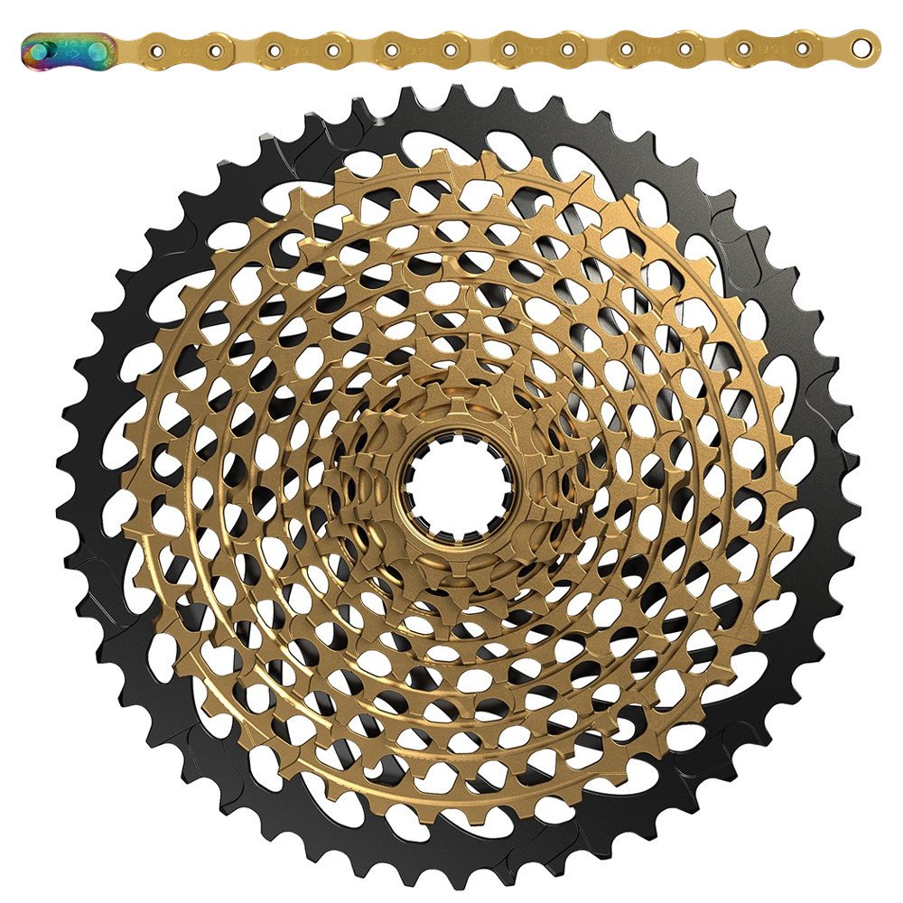 xx1-gold-50-851242.jpg