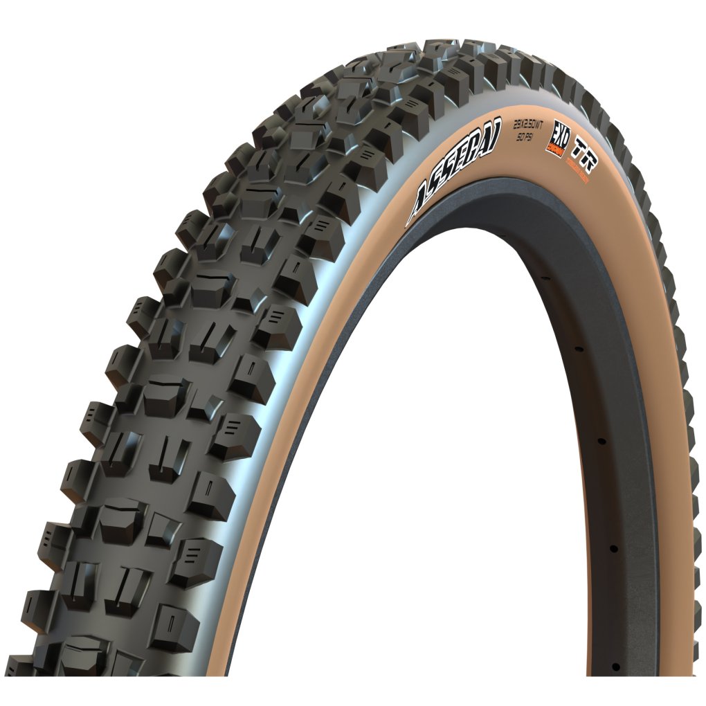 Maxxis Assegai Folding Tire - Dual | EXO TR | WT - 27.5x2.50
