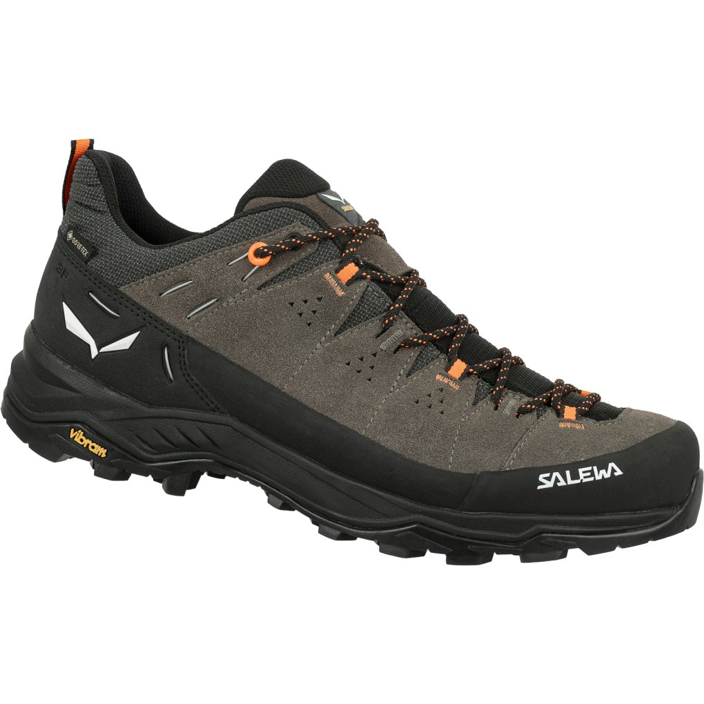 Salewa Alp Trainer GTX Hiking Shoes Men bungee cord/black