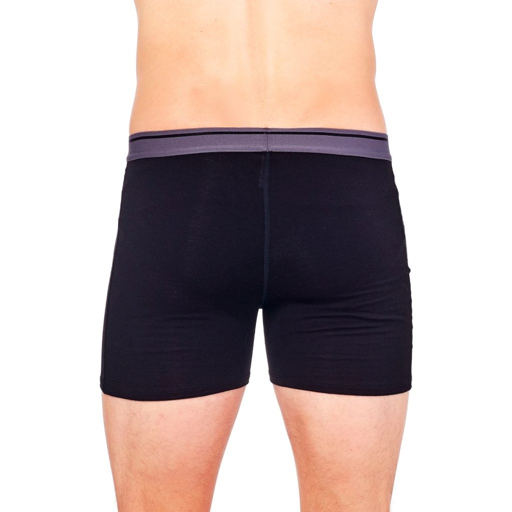 取寄) アイスブレイカー メンズ アナトミカ メリノ ボクサー W/ フライ