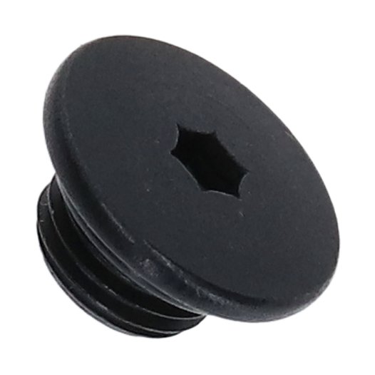 Zoegneer Lot de 2 vis de purge pour levier de frein de vélo en alliage de titane avec joint torique pour MT2 MT4 (titane Zoegneer Lot de 2 vis de purge pour levier de frein de vélo en alliage de titane avec joint torique pour MT2 MT4 (titane
