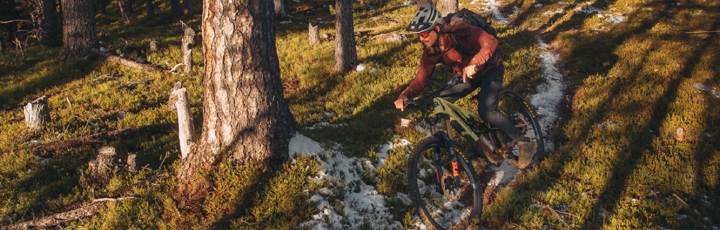 Buy rocky mountain bikes online online