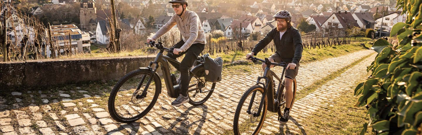 Keizer Lucht vasthouden FOCUS Bikes - fietsen & e-bikes online kopen | BIKE24