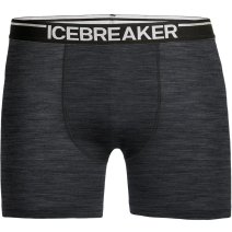 Icebreaker Merino Anatomica Short Sleeve Crewe T-Shirt