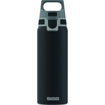 SIGG Bottle Swiss Water Thermo Flask Hot & Cold ONE Brush BPA Free