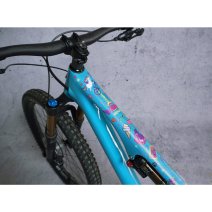 Dyedbro db e rrr adesivi protezione telaio e bike rrr multicolour Ade