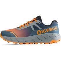 Icebug hot sale winter shoes