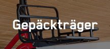 Tern Gepäckträger