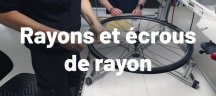 Rayons et écrous adaptés au vélo de route, au VTT et plus encore Corps de roue libre DT Swiss