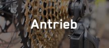 Damit sich dein Rad weiter dreht – Kassetten, Ketten und Kettenblätter Damit sich dein Rad weiter dreht – Kassetten, Ketten und Kettenblätter