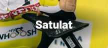 Fizik-satulat Fizik-satulat