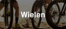 Syncros wielen