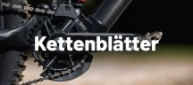 FSA Kettenblätter in großer Auswahl bei BIKE24 Nahaufnahme eines FSA Kettenblatt