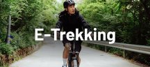 Haibike Trekkingrad