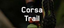ASICS scarpe da corsa trail