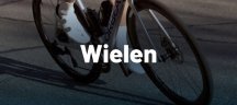 Campagnolo - wielen Campagnolo - wielen