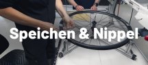 Abgestimmte Speichen & Nippel für Rennrad, MTB & mehr
