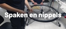 DT Swiss spaken en nippels