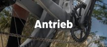 FSA Antriebsteile in großer Auswahl bei BIKE24 Nahaufnahme eines FSA Antriebs