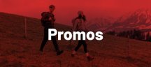 Promos Falke