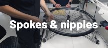 DT Swiss spokes and nipples DT Swiss spokes and nipples link banner