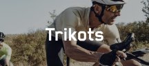 Q36.5 Fahrradtrikots Q36.5 Fahrradtrikots
