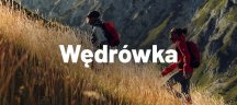 Wędrówka Mammut