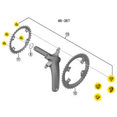 Shimano Chainring Bolts for Ultegra FC-R8000 - 46-36T - 4
