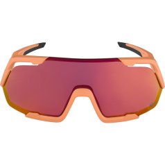 Amazon.com : ALPINA CIRCUS Q-LITE Mountain Bike Goggles