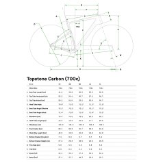 Cannondale topstone size guide sale