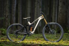 Giant glory mountain bike online