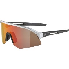 Alpina Sonic HR Q-Lite Glasses - aluminum matt/green/red