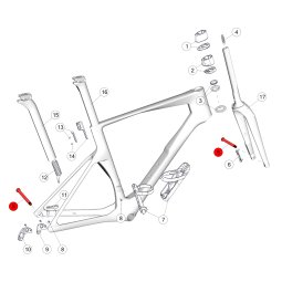 BMC TEAMMACHINE SLR 01 MOD - Carbon Frame Set - 2023