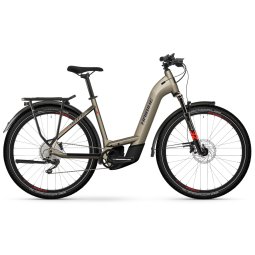 Buy haibike online