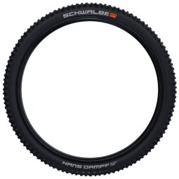 Schwalbe Hans Dampf Folding Tire - Evolution | Addix