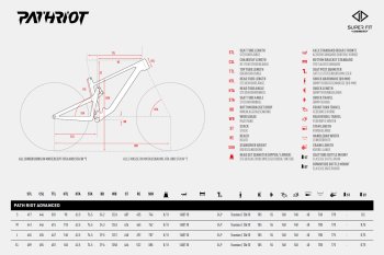 Ghost PATH RIOT Advanced - Carbon E-Mountainbike - 2024 - grey / light ...