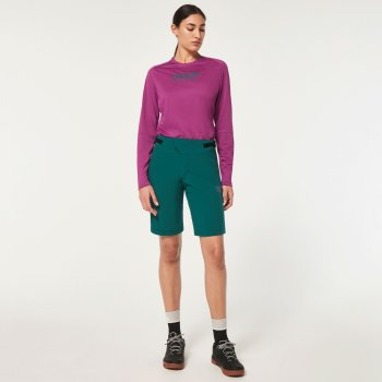 huffy roadside cruiser