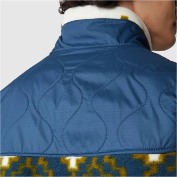 The North Face Royal Arch Fleece Vest Men - Shady Blue