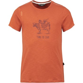 North face donkey on sale shirt