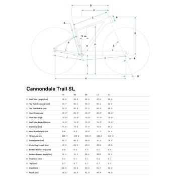 Cannondale womens size discount guide