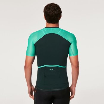 【値下】【新品】Oakely Endurance Jersey2.0 Lサイズ oakley-endurance-ultra-lite-
