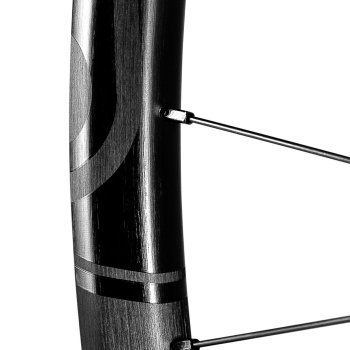 370290-02-d-798693.jpg