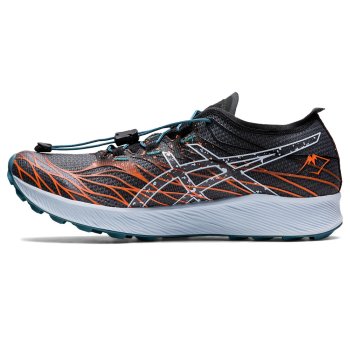 asic fuji