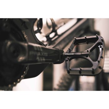 Praxis Works The Brodium Flat Pedal - silber | BIKE24