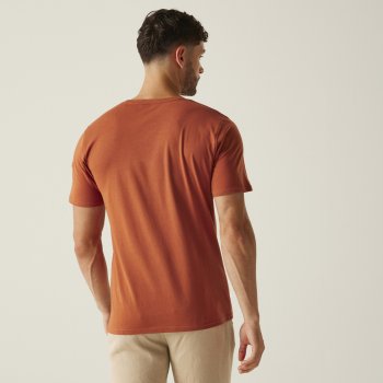 Regatta Cline IX T-Shirt Men - Baked Clay Jeep V2Q | BIKE24