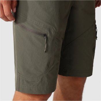 North face hot sale exploration shorts