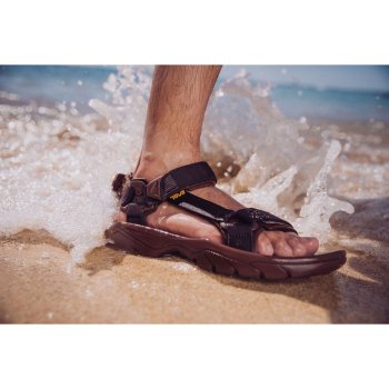 Foot Teva Mens To Womens Sizes Teva Men's Terra Fi Universal