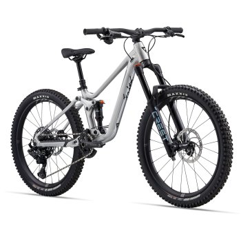 Giant mtb 24 online