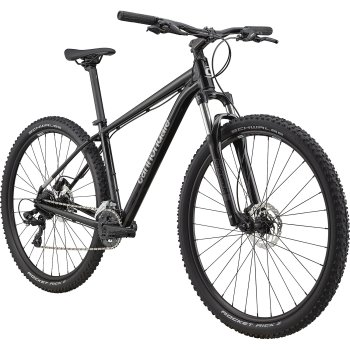 Cannondale TRAIL 8 29 Mountainbike 2023 grey BIKE24