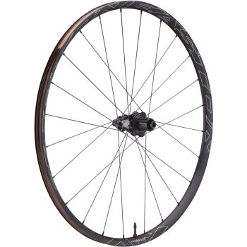 Easton EA90 AX Disc Rear Wheel - Clincher - Centerlock
